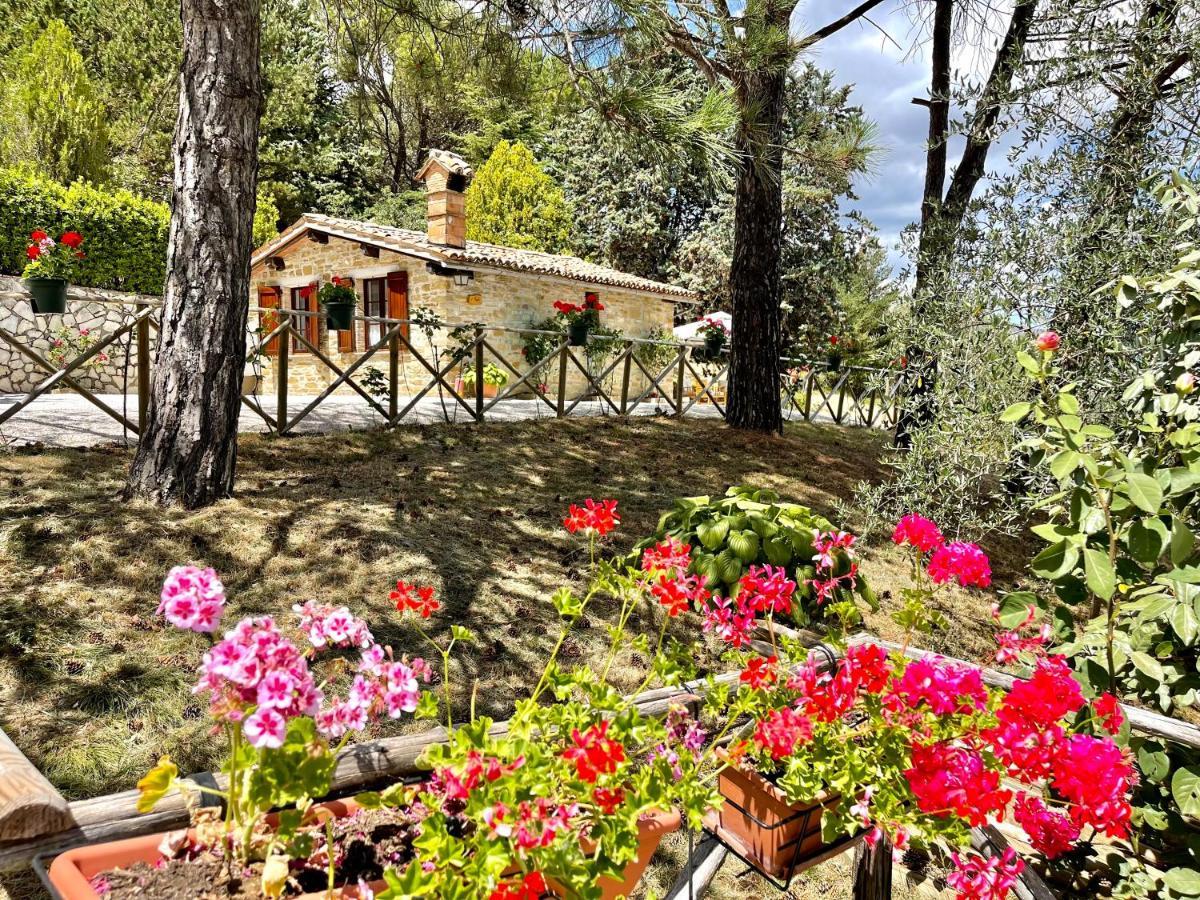 La Panoramica Gubbio - Maison De Charme - Casette E Appartamenti Self Catering Per Vacanze Meravigliose! 外观 照片