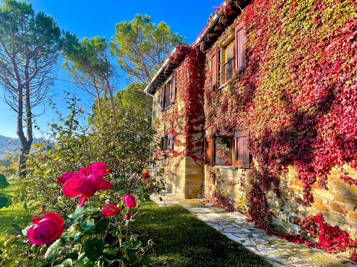 La Panoramica Gubbio - Maison De Charme - Casette E Appartamenti Self Catering Per Vacanze Meravigliose! 外观 照片