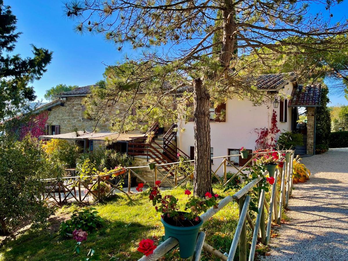 La Panoramica Gubbio - Maison De Charme - Casette E Appartamenti Self Catering Per Vacanze Meravigliose! 外观 照片