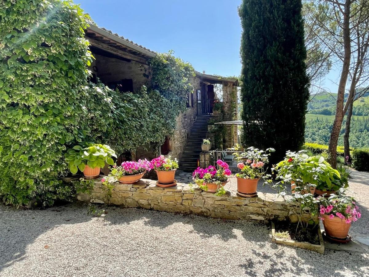 La Panoramica Gubbio - Maison De Charme - Casette E Appartamenti Self Catering Per Vacanze Meravigliose! 外观 照片