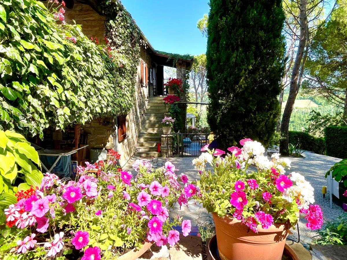 La Panoramica Gubbio - Maison De Charme - Casette E Appartamenti Self Catering Per Vacanze Meravigliose! 外观 照片
